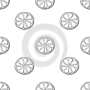 Vector seamless pattern of outline sliced circle of citrus fruit. Lemon orange lime grapefruit background and texture