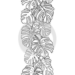 Vector seamless pattern with outline tropical Monstera or Swiss cheese plant leaf bunch in black on the white background.