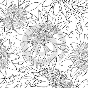 Vector seamless pattern with outline tropical Passiflora or Passion flowers, bud and leaves on the white background.