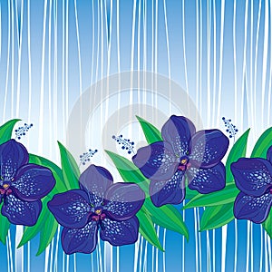 Vector seamless pattern with outline Vanda orchid flower in blue and green leaves on the striped background. Floral pattern.