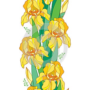 Vector seamless pattern with outline yellow Iris flower, bud and green leaf on the white background. Floral background with Iris.
