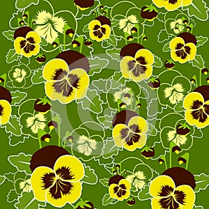 Vector seamless pattern of pansy flowers