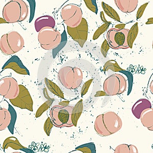 Vector seamless pattern with peaches . white background