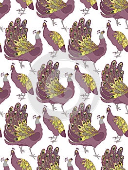 Vector seamless pattern with peafowls