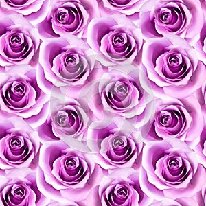 Vector seamless pattern with photorealistic pink roses.