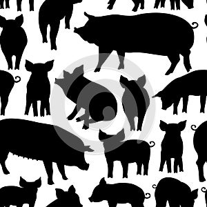 Vector seamless pattern with pig on white background.
