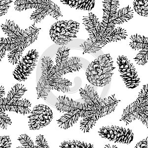 Vector seamless pattern of pine tree branches and cones. Hand drawn vintage elements. Christmas decoration.