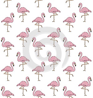 Vector seamless pattern of pink hand draw flamingo