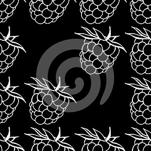Seamless pattern from raspberry. Vector of a seamless  pattern raspberry. Hand drawn raspberries