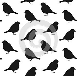 Vector seamless pattern of robin bird silhouette