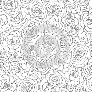 Vector seamless pattern with rose flowers line art on the white background. Hand drawn floral repeat ornament of blossoms sketch