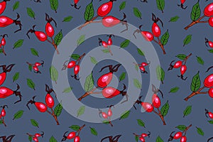 Vector seamless pattern with rose hip on blue background. Berry pattern consisting of beautiful seamless repeat rose hip. Natural