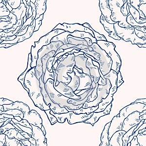 Vector seamless pattern with roses. Hand drawn textures