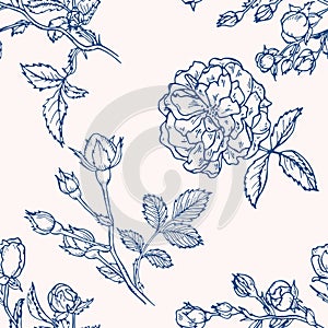 Vector seamless pattern with roses. Hand drawn textures