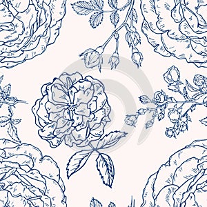 Vector seamless pattern with roses. Hand drawn textures