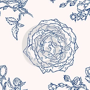 Vector seamless pattern with roses. Hand drawn textures