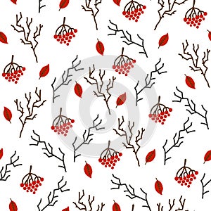 Vector seamless pattern with rowanberry