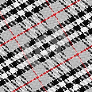 Vector seamless pattern Scottish tartan 1 photo