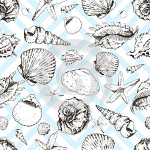 Vector seamless pattern of seashels. Isolated on light blue geometric trendy background.