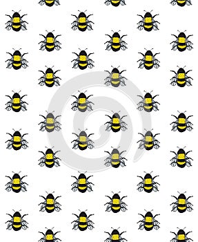 Vector seamless pattern of sketch color bumblebee