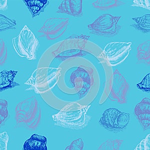 Vector seamless pattern sketch of seashells ion blue background. Hand-drawn sea animals.