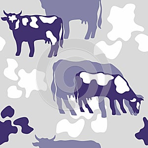 Vector seamless pattern of spotted cows in lilac colors. Cows graze in the meadow.