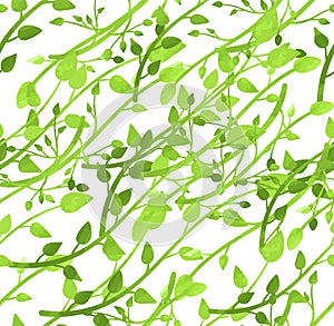 Vector Seamless Pattern, Spring Leaves, Light Green Watercolor Branches on White Background.
