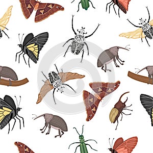 Vector seamless pattern of tropical insects