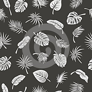 Vector Seamless Pattern with Tropical Leaf Silhouettes. Flat Vector Black and White Cutout Style Monstera, Ficus, Banana