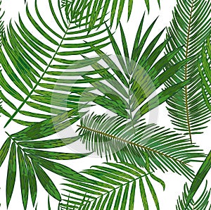 Vector Seamless pattern of tropical palm leaves. background of