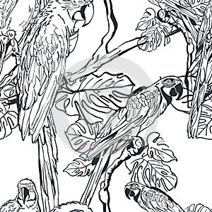 Vector seamless pattern with tropical parrot birds on tree. Hand drawn black and white illustration of jungle.
