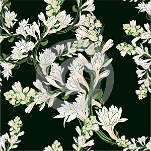 Vector seamless pattern. Tuberose - branches. Medicinal, perfumery and cosmetic plants. Wallpaper. Use printed mater