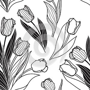 Vector seamless pattern with tulip flowers. Spring floral background, wallpaper