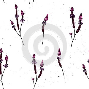 Vector seamless pattern with verbena. Hand drawn style