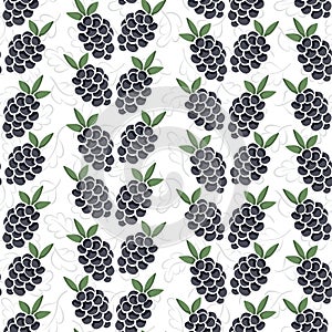 Vector seamless pattern with vertical blackberry columns on white foliate background.