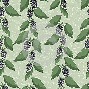 Vector seamless pattern with vertical foliate blackberry twigs on green background.