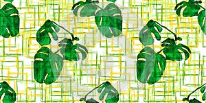 Vector Seamless Pattern - Watercolor Painted Leaves, Hand Drawn Scribble Colorful Lines and Palm Leaves, Monstera Plant