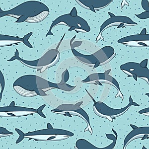 Vector seamless pattern with whale, shark, narwhal and dolphin on the polka dot blue background