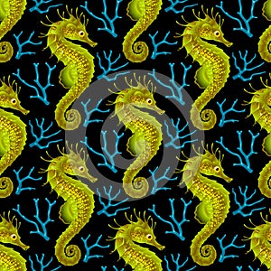 Vector Seamless Pattern whith Seahorse and Coral