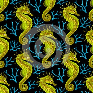 Vector Seamless Pattern whith Seahorse and Coral photo