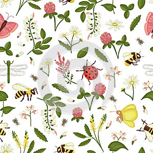 Vector seamless pattern of wild flowers, bee, bumblebee, dragonfly, ladybug, moth, butterfly