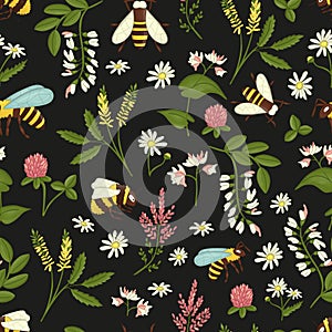 Vector seamless pattern of wild flowers, bees and bumblebees photo
