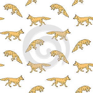 Vector seamless pattern of yellow hand drawn fox