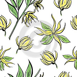 Vector seamless pattern with ylang