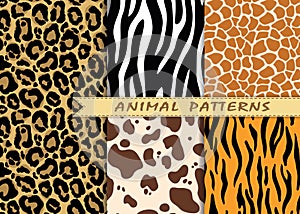 Vector seamless patterns set with animal skin texture. Repeating
