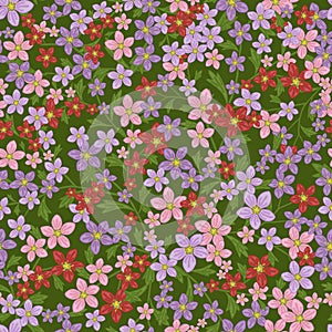 Vector seamless retro pattern, flowers saxifrage. Fills, wallpaper, surface textures.