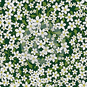 Vector seamless retro pattern, flowers saxifrage. Fills, wallpaper, surface textures.