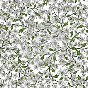 Vector seamless retro pattern, flowers saxifrage. Fills, wallpaper, surface textures.