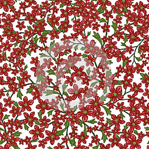 Vector seamless retro pattern, flowers saxifrage. Fills, wallpaper, surface textures.