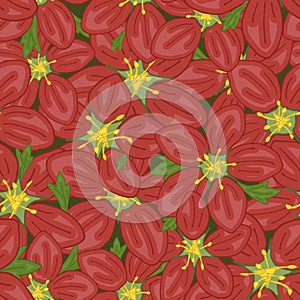 Vector seamless retro pattern, flowers saxifrage. Fills, wallpaper, surface textures.